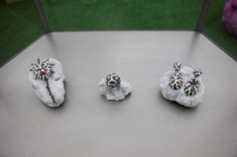 wang shang jewellery